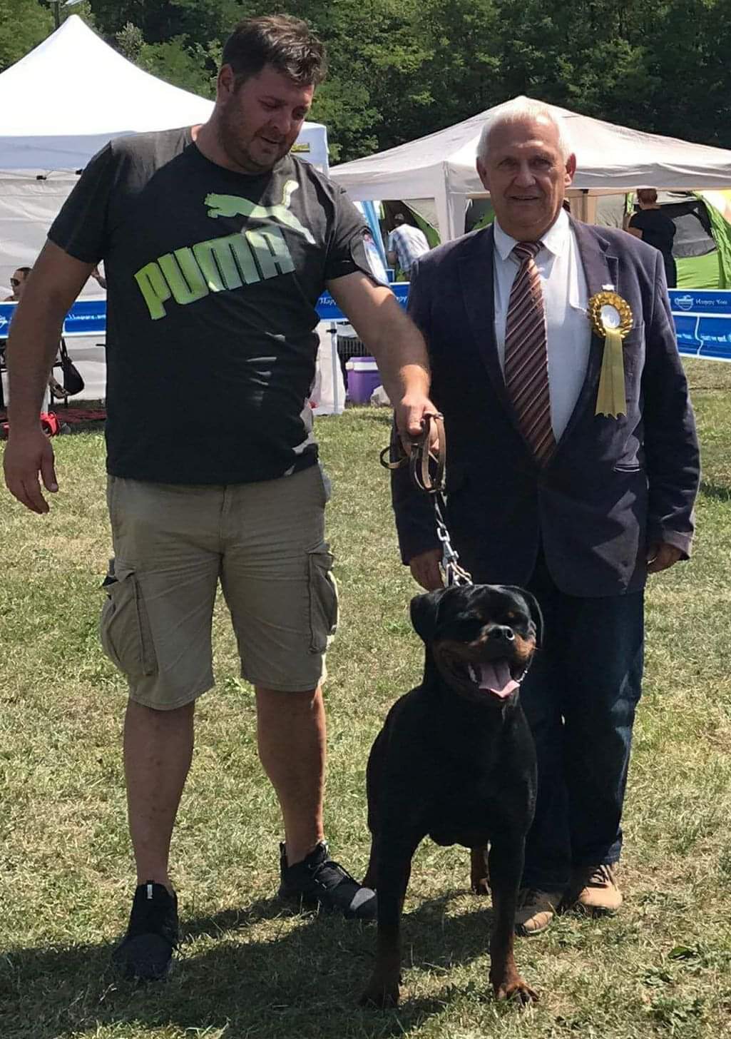 Rottweiler Bia, image 4