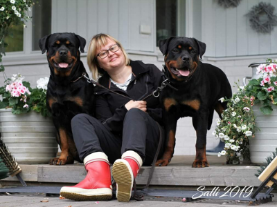 image of the Rottweiler dog Dakota